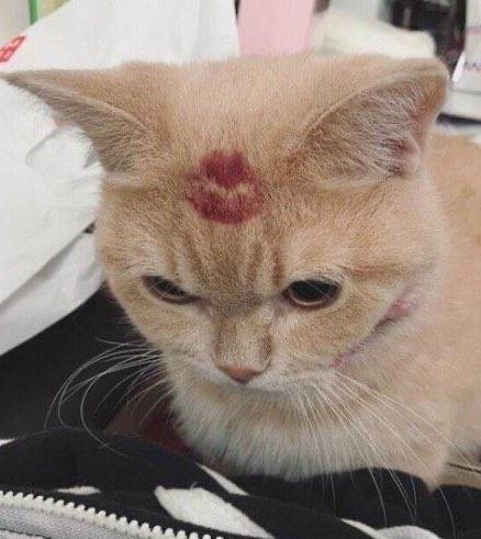 CuteBTSfiles's tweet photo. https://t.co/yY05fPeBJe