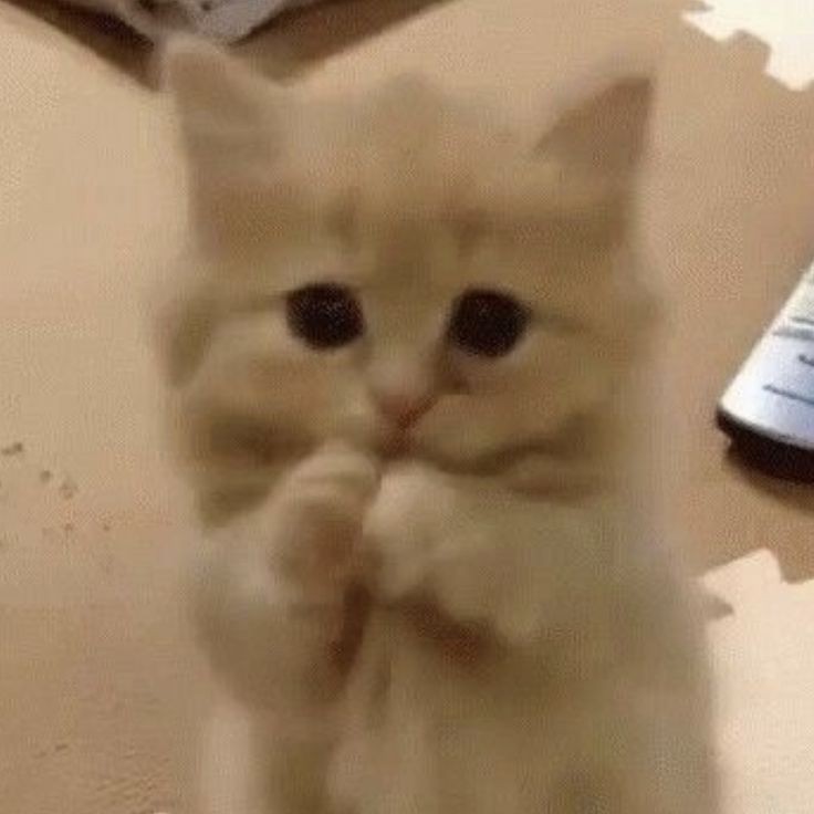 𝐫𝐚𝐢𝐧🌧 tweet media