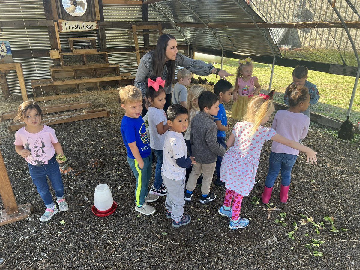 Our ROYAL FLOCK has been providing some of the best outdoor learning experiences! #cluckinghampalace #ourqueens #outdoorlearning #elementaryprincipal #nhe <a href="/TEPSAtalk/">TEPSA</a> <a href="/NorthHopkinsISD/">North Hopkins ISD</a> @TEPSARegion8