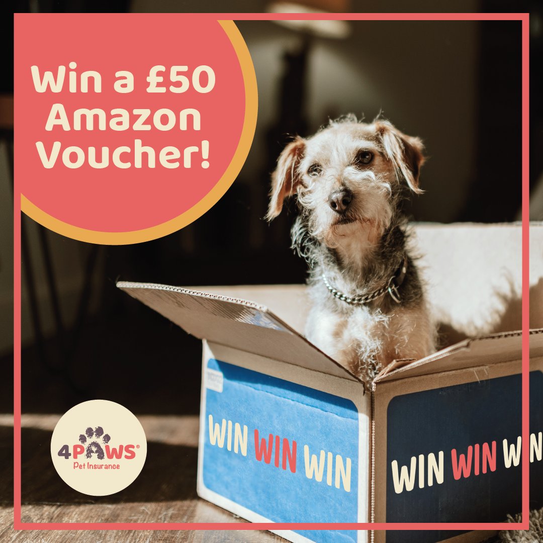 4paws_insurance's tweet photo. 🐾 COMPETITION TIME! 🐾 

We're giving you the chance to win a £50 Amazon e-gift card.

To enter;

🐾  Follow  @4paws_insurance
🐾  Like &amp; RT this post
🐾  Tag a friend (each tag = one entry so tag away)

Ends 20th December! 

 T&amp;Cs: https://t.co/cDTRpgCSZJ

#Win #AmazonVoucher https://t.co/xO6tu9tePK