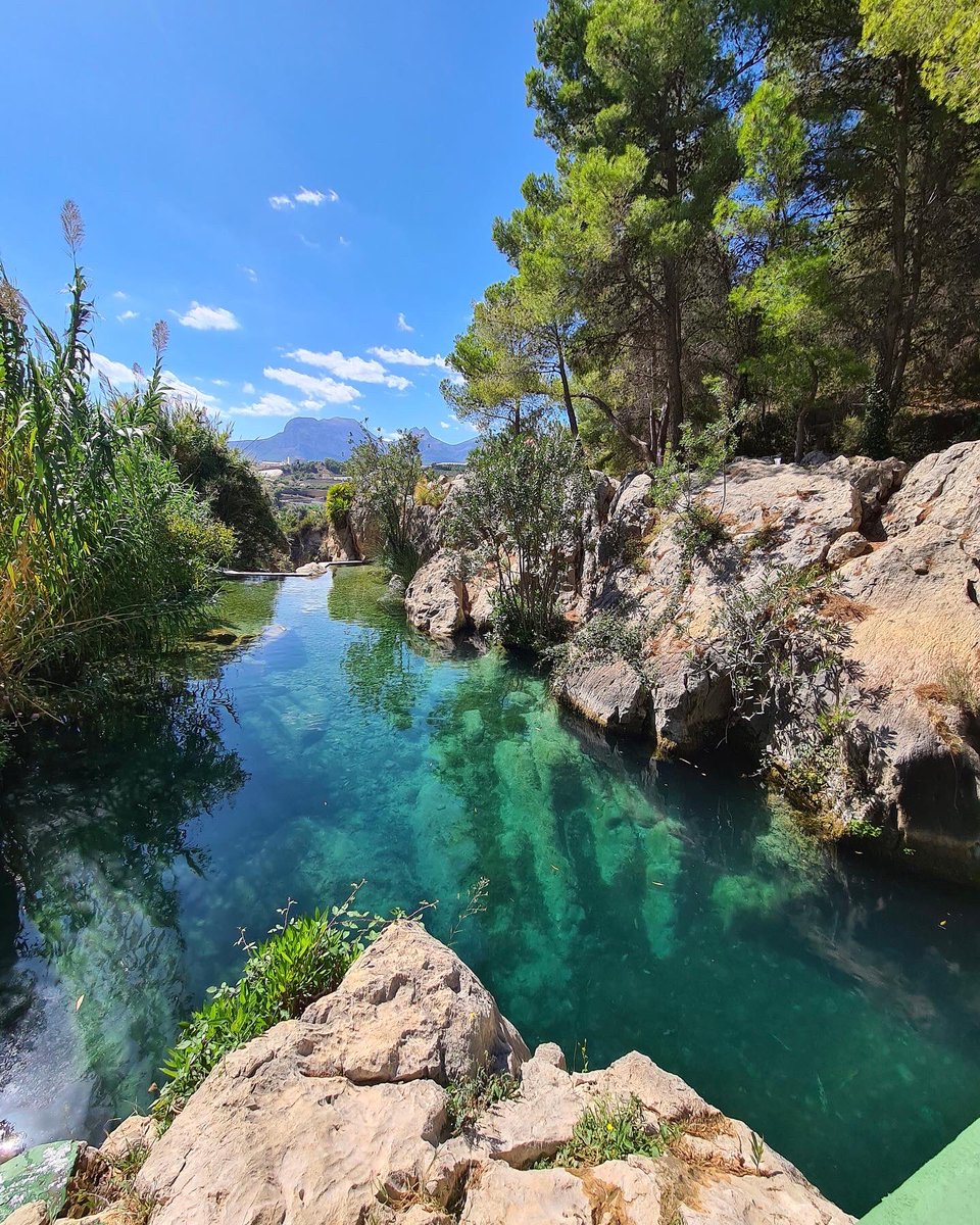costablancaorg's tweet photo. ¡Buenas noticias! Las Fuentes del Algar vuelven a abrir sus puertas 🌳💦 Ya puedes disfrutar de paseos entre cascadas, pozas y naturaleza 💚 - #CostaBlanca #CallosadenSarrià #FontsdAlgar https://t.co/bcXPZcHR4V