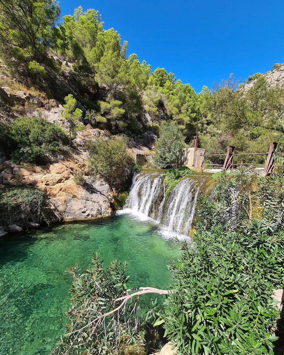 costablancaorg's tweet photo. ¡Buenas noticias! Las Fuentes del Algar vuelven a abrir sus puertas 🌳💦 Ya puedes disfrutar de paseos entre cascadas, pozas y naturaleza 💚 - #CostaBlanca #CallosadenSarrià #FontsdAlgar https://t.co/bcXPZcHR4V