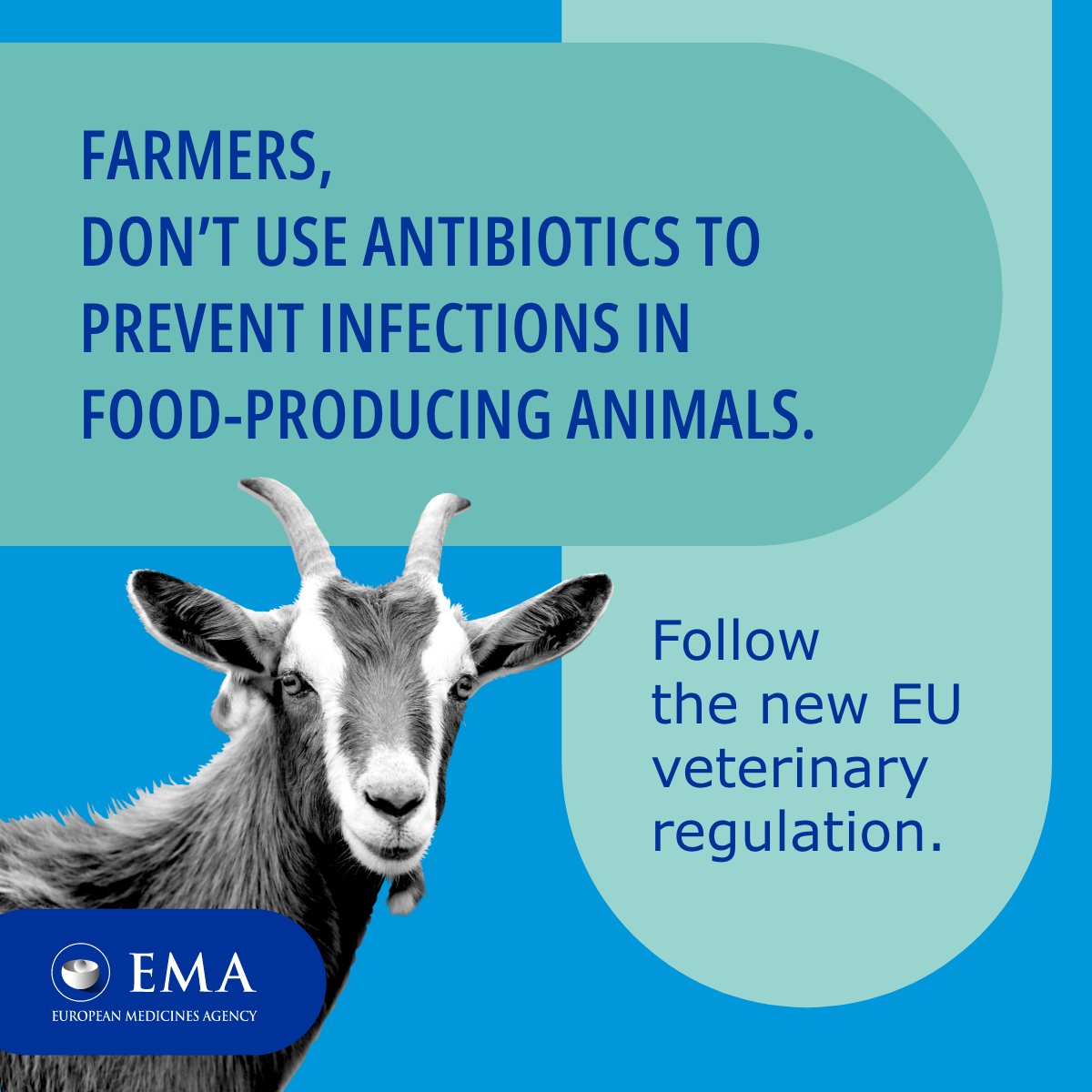 EU Medicines Agency tweet media