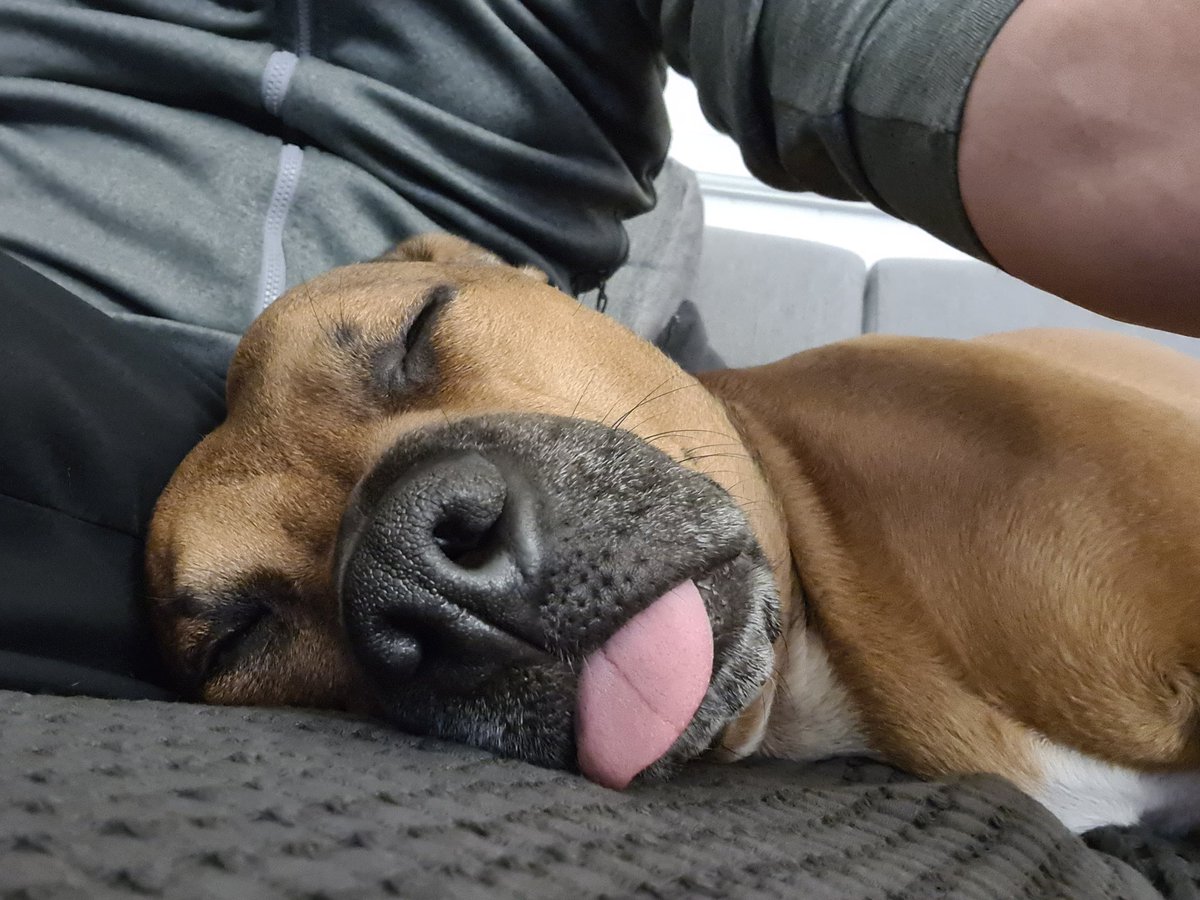 Claudia eRecords tweet media