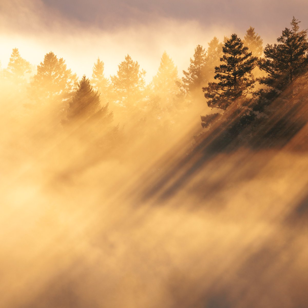 a "slices of light" gm on <a href="/foundation/">Foundation 🌐</a>