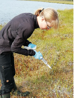 WildlifeGenUoO's tweet photo. 7/10 Animal #eDNA from water is obtained by filtering several samples of water from each #aquaticsystem, extracting DNA from these samples, and amplifying a fragment of mitochondrial DNA. https://t.co/VkZhEWF5lB