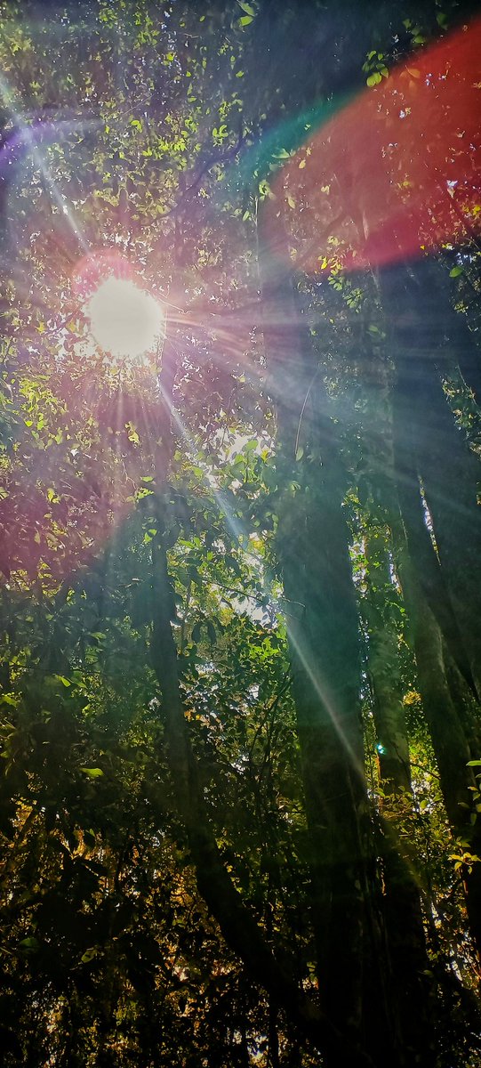 farhanmms2's tweet photo. Like this moment
#zve10 #Sony #sonymalaysia #photography #PhotoOfTheDay #photographer #snapseed #kotakinabalu #sabah https://t.co/vuBpS3Hs9Z