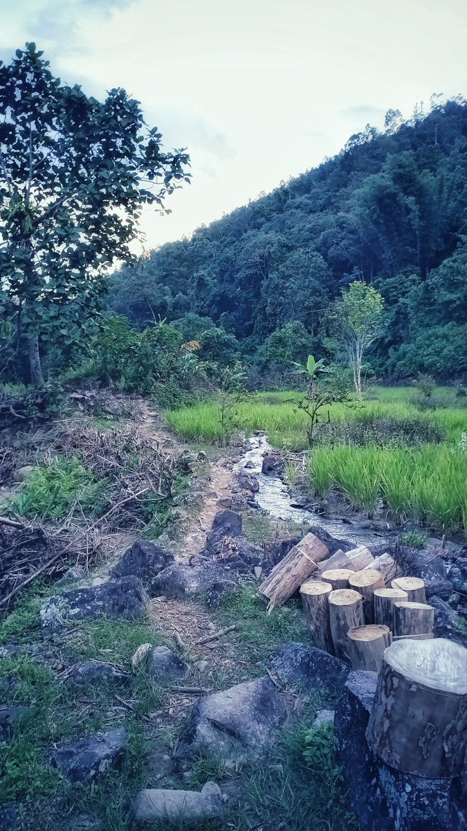 farhanmms2's tweet photo. Like this moment
#zve10 #Sony #sonymalaysia #photography #PhotoOfTheDay #photographer #snapseed #kotakinabalu #sabah https://t.co/vuBpS3Hs9Z