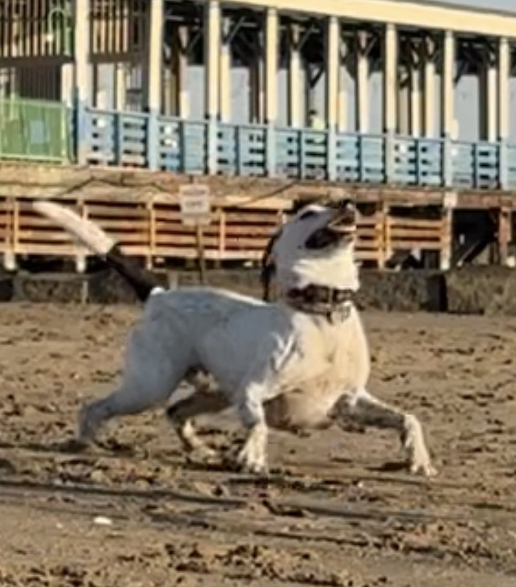 ☁️cas☁️ (@casluvsu) on Twitter photo 