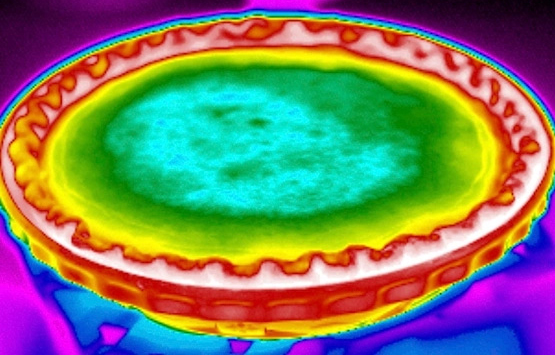 We're grateful for you all. Enjoy your Thanksgiving!
The Snell Group #infrared #thermography #training #thermal #thermalcamera #thermalimaging