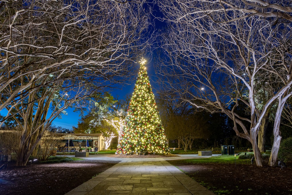 PerfectLightUSA's tweet image. We take the hassle out of decorating for the holidays! Learn how we can light up your commercial property for the season here: lttr.ai/yioQ

#CommercialChristmasLighting #ThePerfectLight