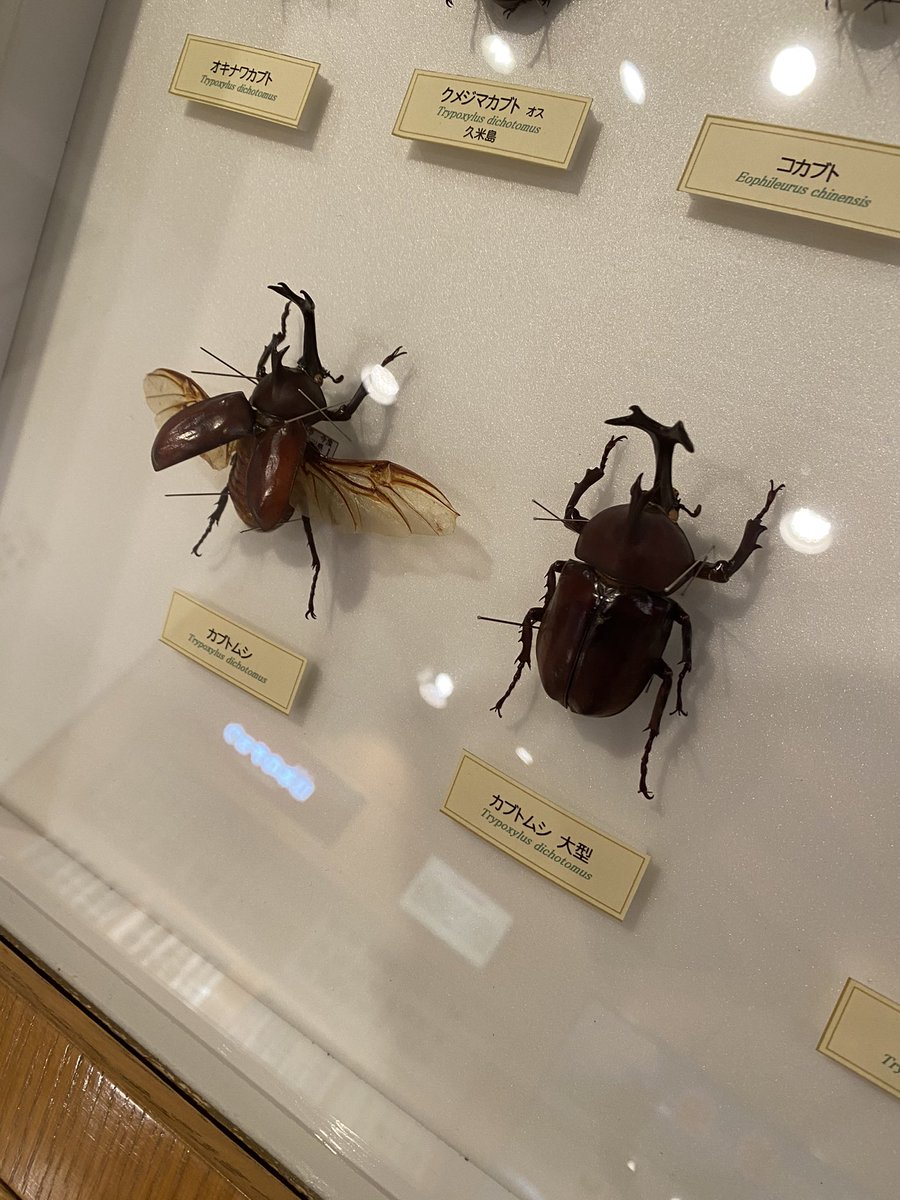 1emdky Aq8a7nm 1emdky Aq8a7nm