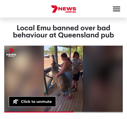 Normal Aussie Headlines tweet media