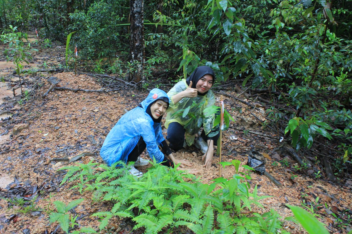 PanbilGroup's tweet photo. To welcome World Tree Day, PT. Philips Industries Batam planted 200 trees on Sat (19/11/2022) at Panbil Nature Reserve as part of their CSR (Corporate Social Responsibility) program.
The tree seedlings planted were all fruit trees, such as rambutan, matoa, bignay, and durian. https://t.co/EG71JIZWZ4