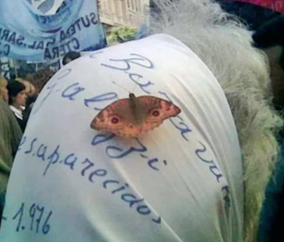 "Cuando una guerrera muere se convierte en mariposa" 🦋👇