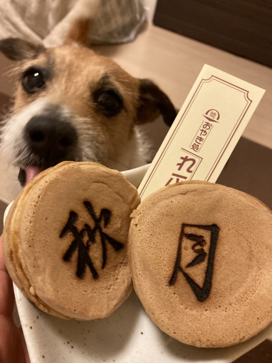 れふ亭のお焼き初体験。ソーセージマヨネーズと、カスタード。どちらも美味しかったです。＃ジャックラッセルテリア
＃中野