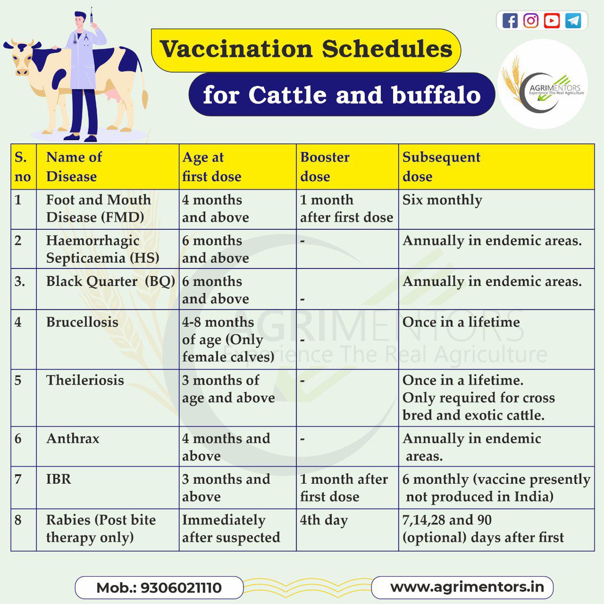 agrimentors's tweet photo. Vaccination Schedule for Cattle 🐄 and Buffalo 🐃
#vaccination #animal_husbandry #vaccination_schedules_for_animal #Animal_science #cattle #buffalo #black_quarter #anthrax #foot_and_mouth_disease #national_animal_disease_control_programme #brucellosis https://t.co/4rotx2Ub19