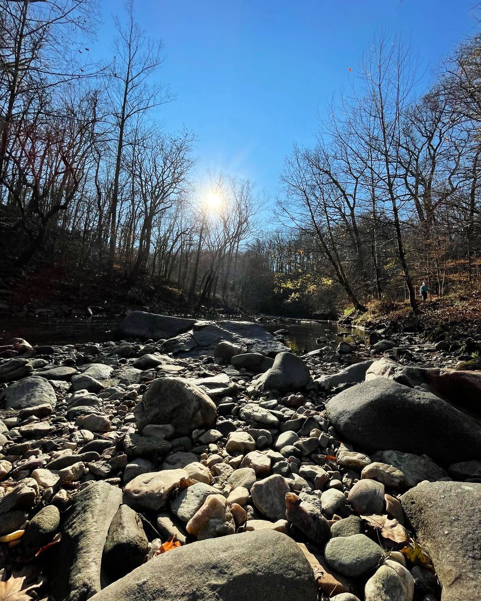 hatchdw's tweet photo. Beautiful 10 mile hike through #RockCreekPark this afternoon. Thankful for sunshine, fresh air, and the afternoon off. #ExtraLongWeekend https://t.co/4LCBgC2hiT