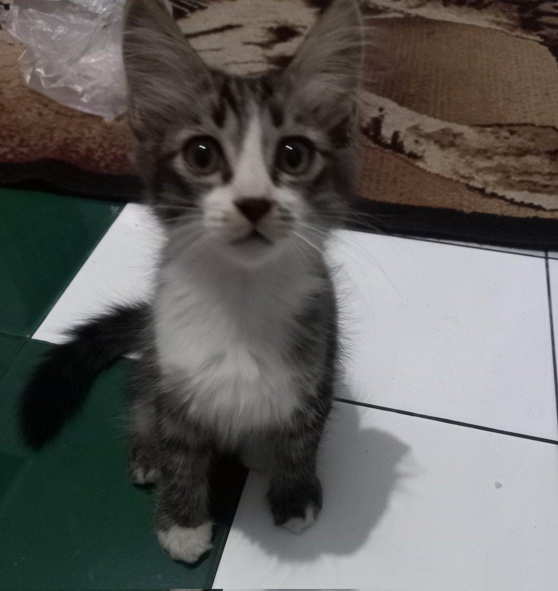 _afiliana's tweet photo. @kochengfs https://t.co/VmN3NiBnu9