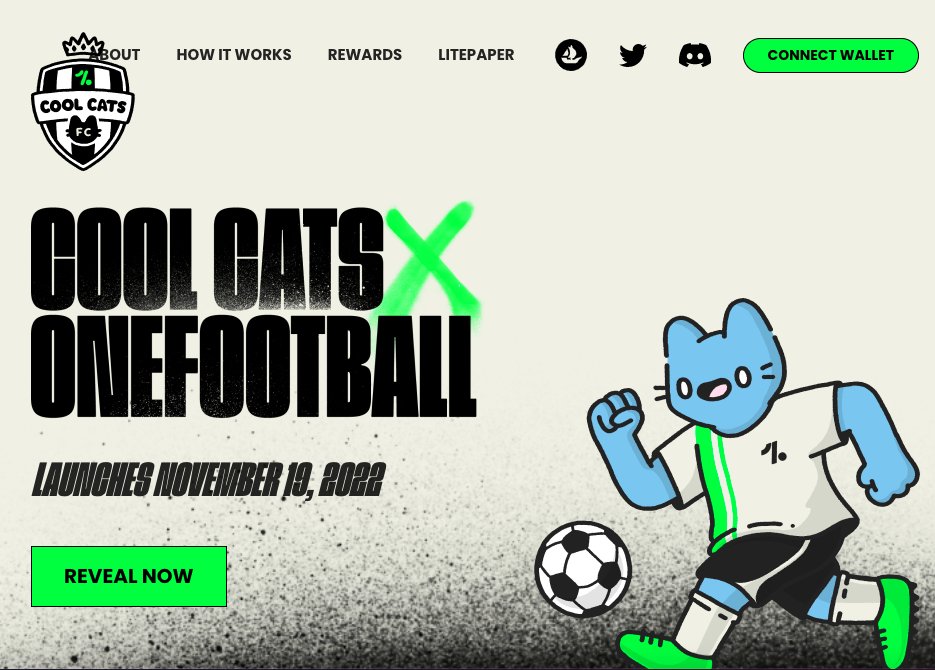 DegenKnows's tweet photo. 🚨Watch out! 🚨

DegenKnows security team reports that @CoolCatFC
is a #scam Twitter account.❌
The real one is @CoolCatsFC. ✅

All tweets from the fake one @CoolCatFC guide people to their website, DO NOT click anything on it. 

DegenKnows aims to build a scam-free world. https://t.co/gquYkI5JoQ