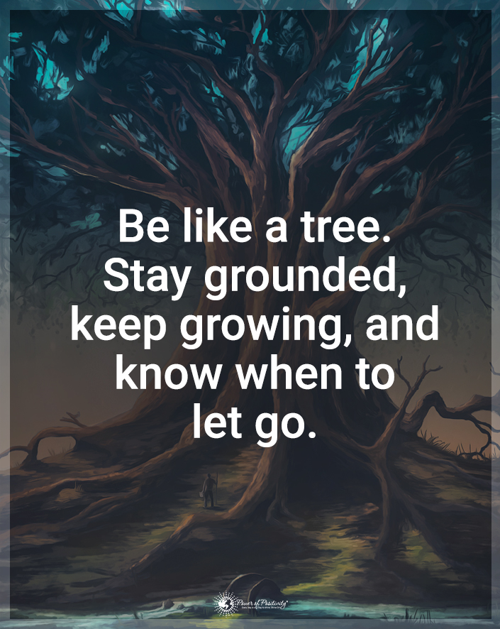 “Be like a tree. Stay grounded, keep growing, and know when to let go.”