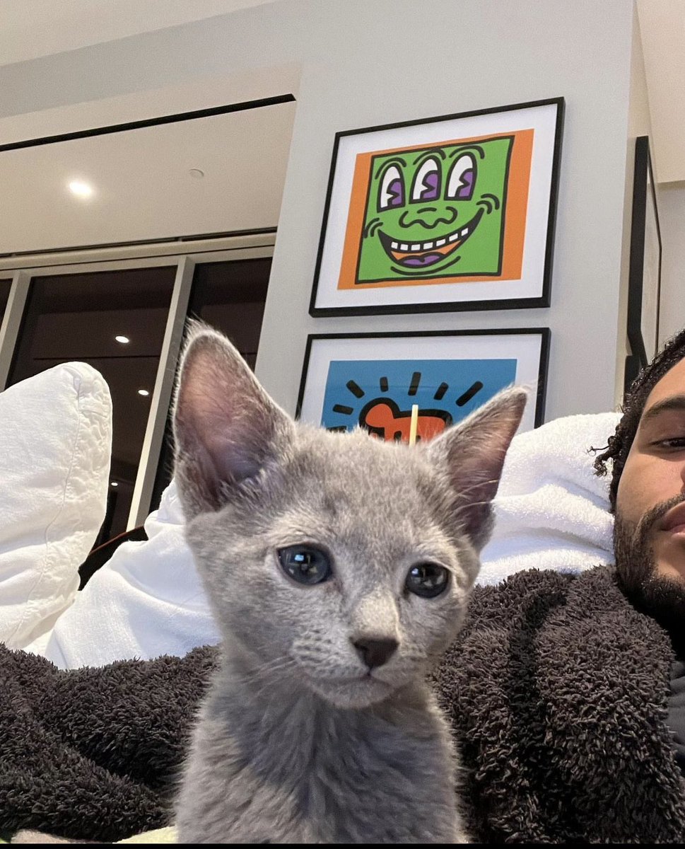 XviAni's tweet photo. Ok but Abel w cats >>🥺😭😍 

#TheWeeknd https://t.co/Z13VV5HDIu