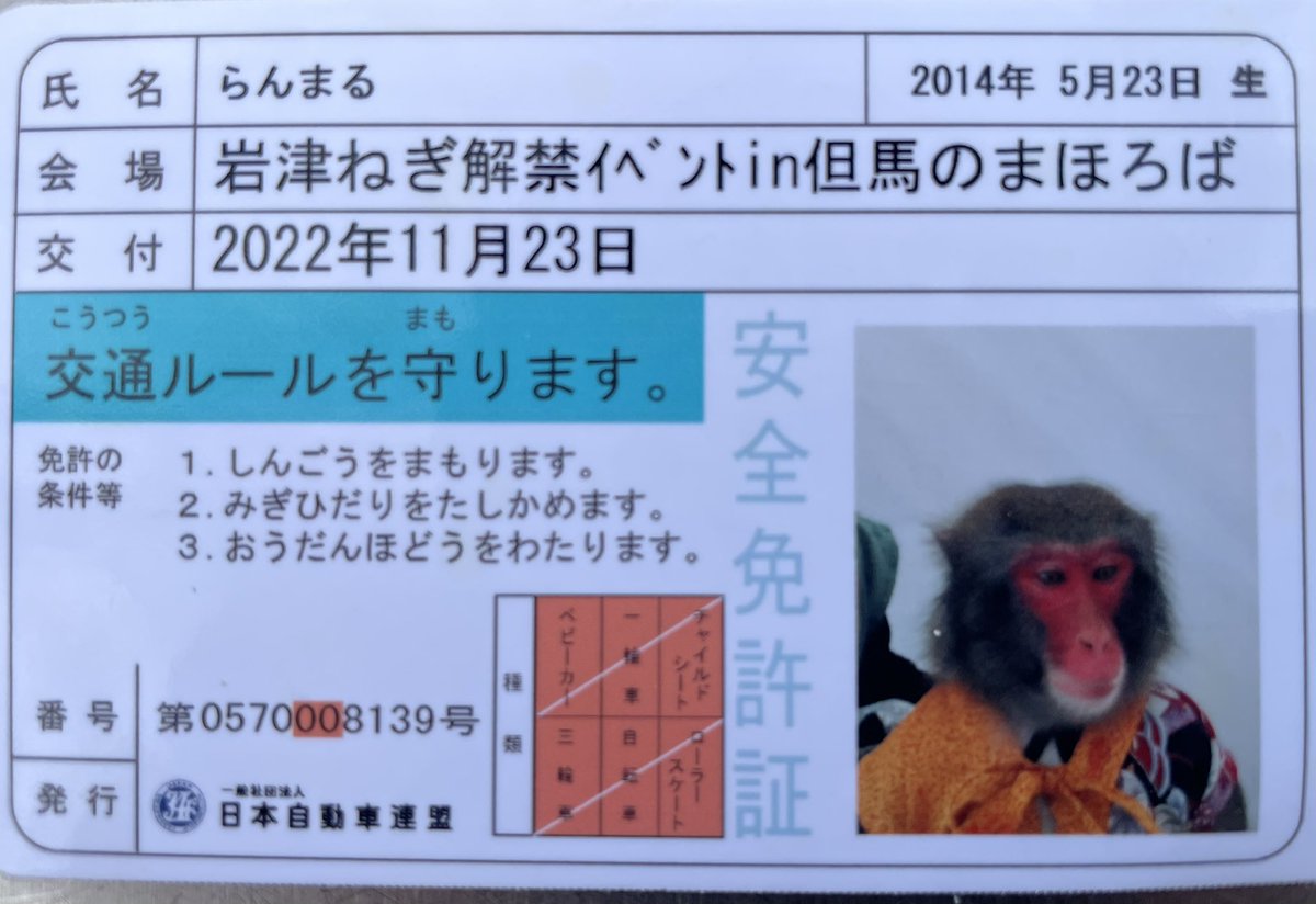 Origami King Of Monkey1 Twitter