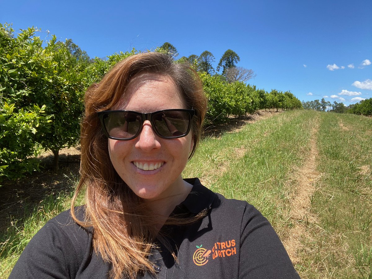 Away from the desk for a few days and out on Asian citrus psyllid patrol (all clear guys!). It seems everywhere I go, I think 'I could live here'. Today the beautiful Hawkesbury region. 🍋 🍊