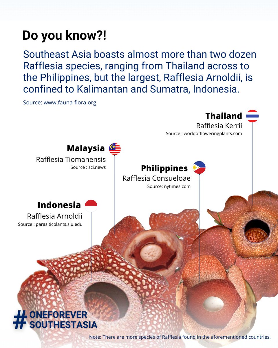 QITEP in Language tweet media