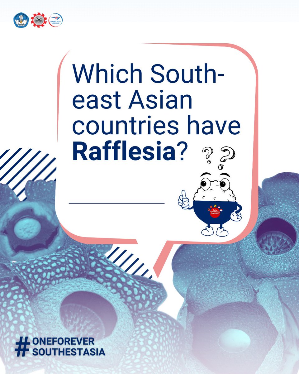 QITEP in Language tweet media