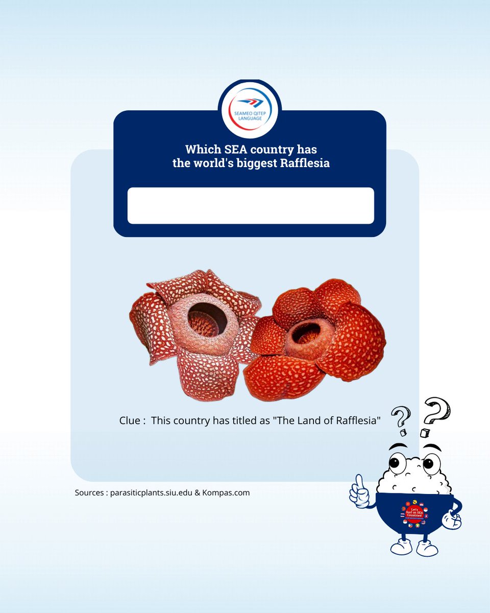 QITEP in Language tweet media