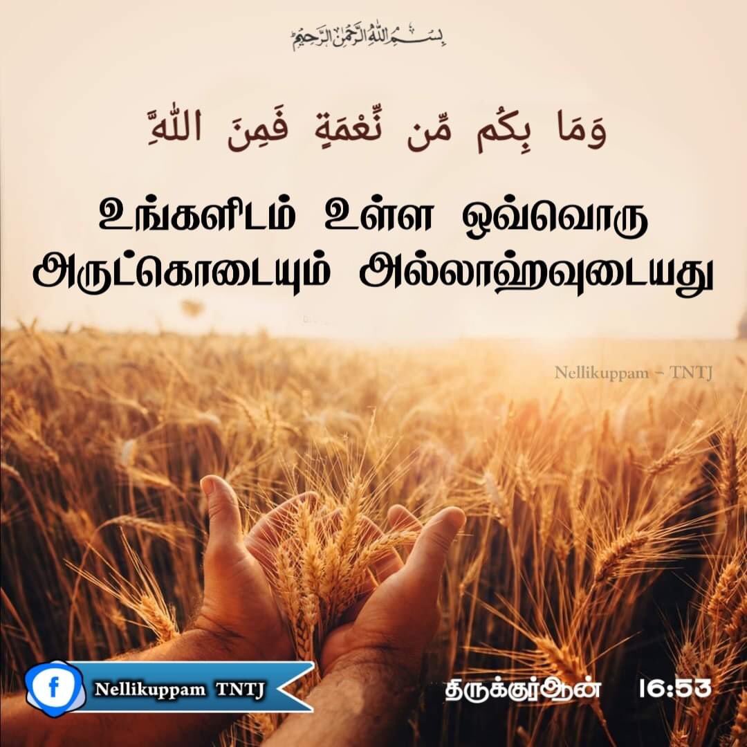 Thangalsyed1404's tweet photo. #Islam_Peace #Allah #Quran #Love #Prophetmuhammad #MuhammadMercyForMankind
#LearnIslam_PracticeIslam #SpreadTeachingsOfProphet #nellikuppam_tntj
#TNTJ_Nellikuppam #TNTJ #tntj_socialactivities #tntj_blood_donation https://t.co/tSZe67EmZR