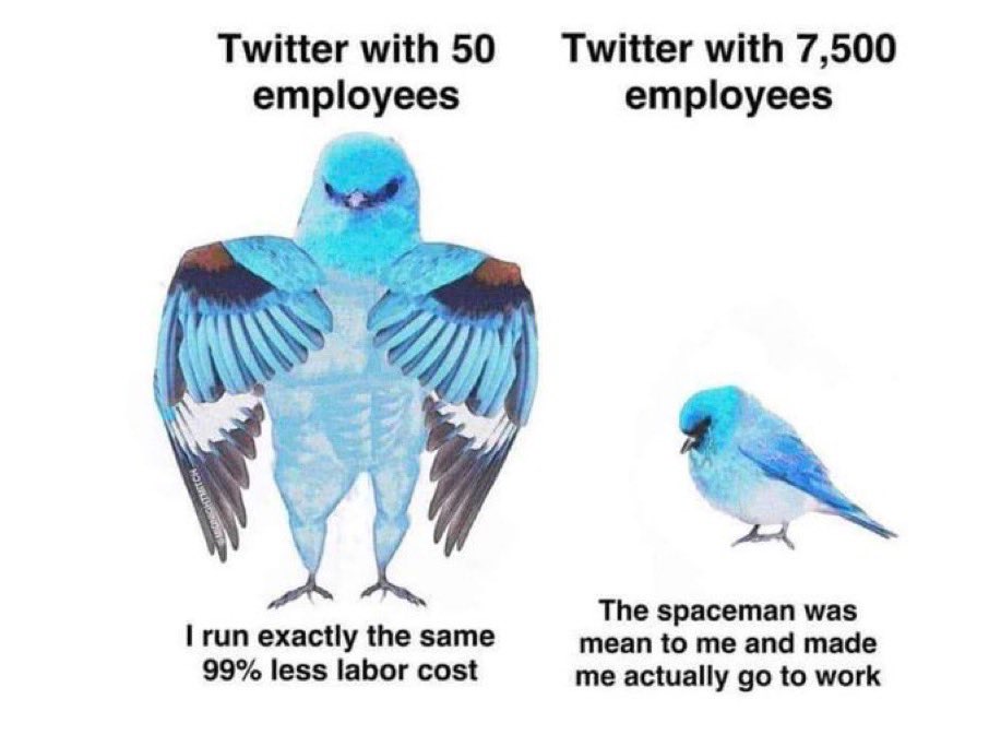 💸💸💸 tweet media