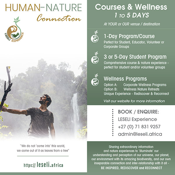 🌿 Human Wellness ☀️ - mailchi.mp/b9adc97a375f/l…