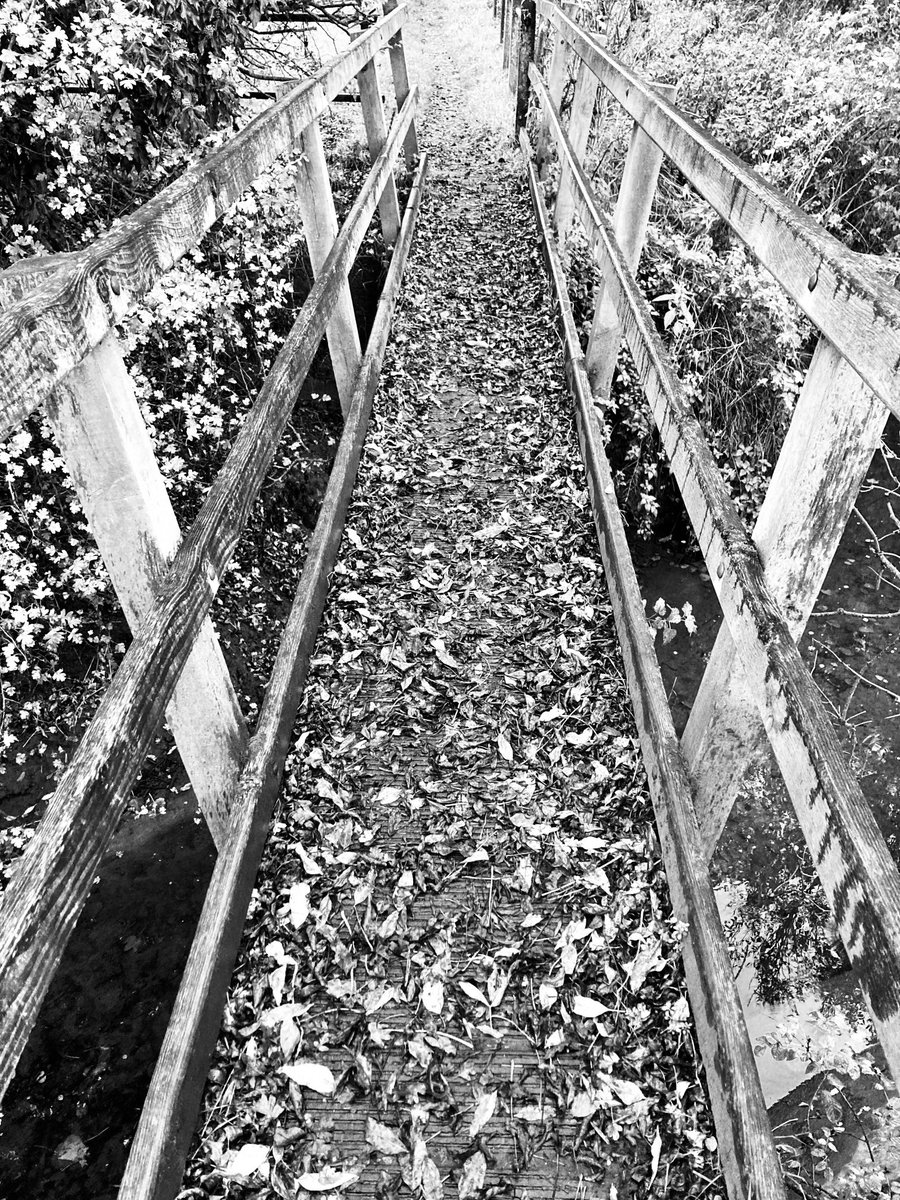 Graham Balmforth tweet media