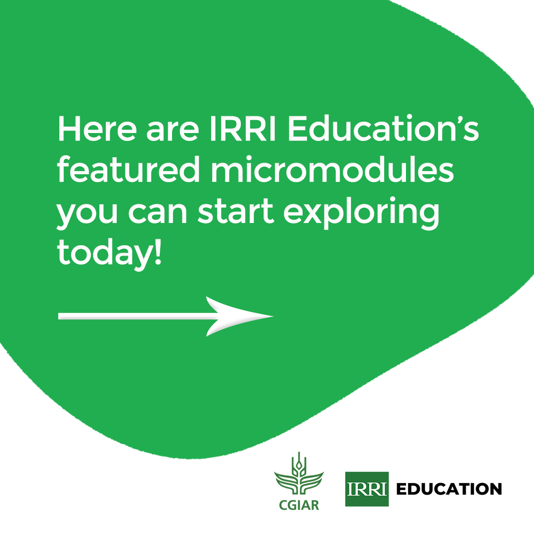 irrieducation's tweet image. #Micromodule

Start learning about IRRI’s research, innovations, and technologies for sustainable agriculture through our micromodules that can be completed in just 8-15 minutes!

#Microlearning #ElearningModules #OnlineLearning