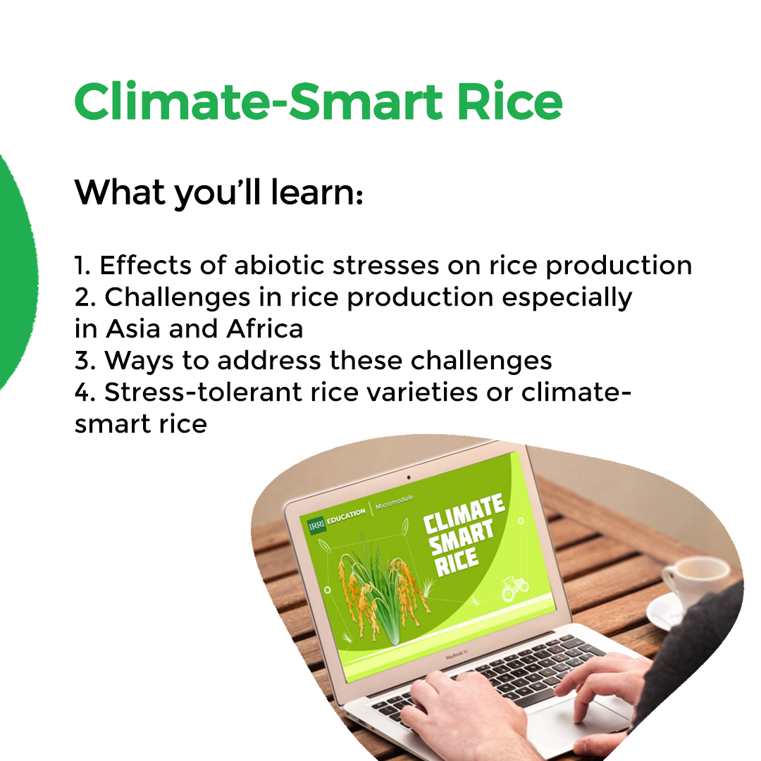 irrieducation's tweet image. #Micromodule

Start learning about IRRI’s research, innovations, and technologies for sustainable agriculture through our micromodules that can be completed in just 8-15 minutes!

#Microlearning #ElearningModules #OnlineLearning