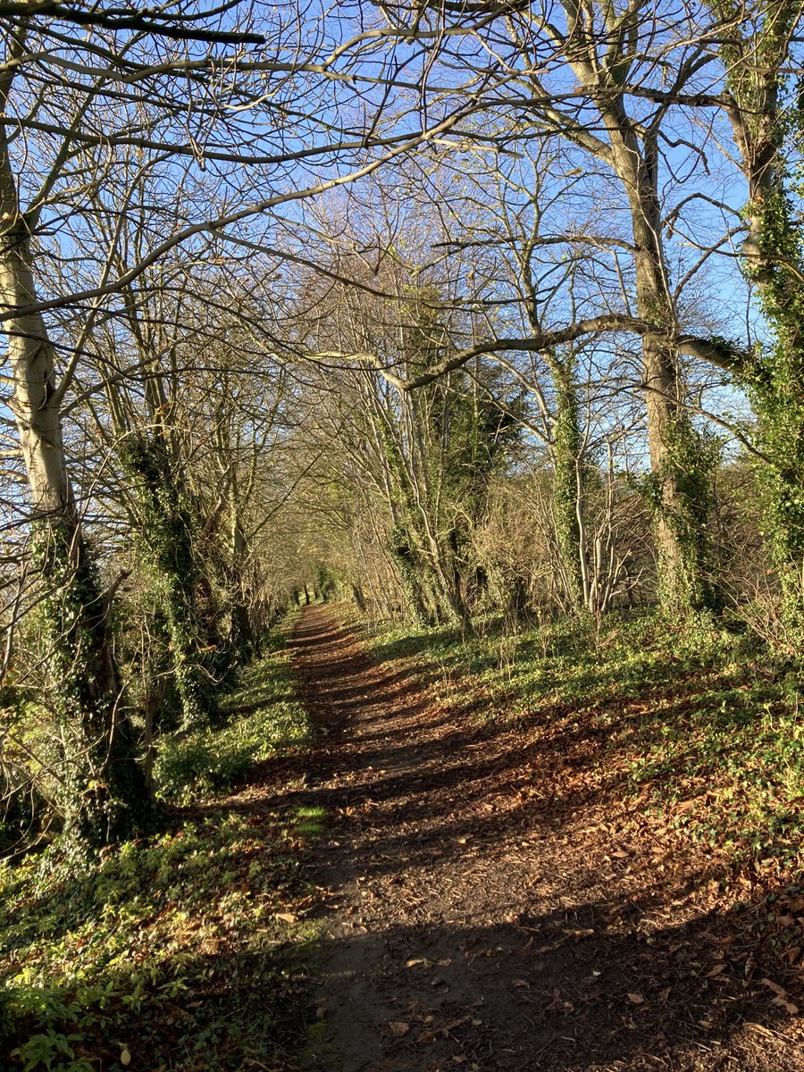 Graham Balmforth tweet media