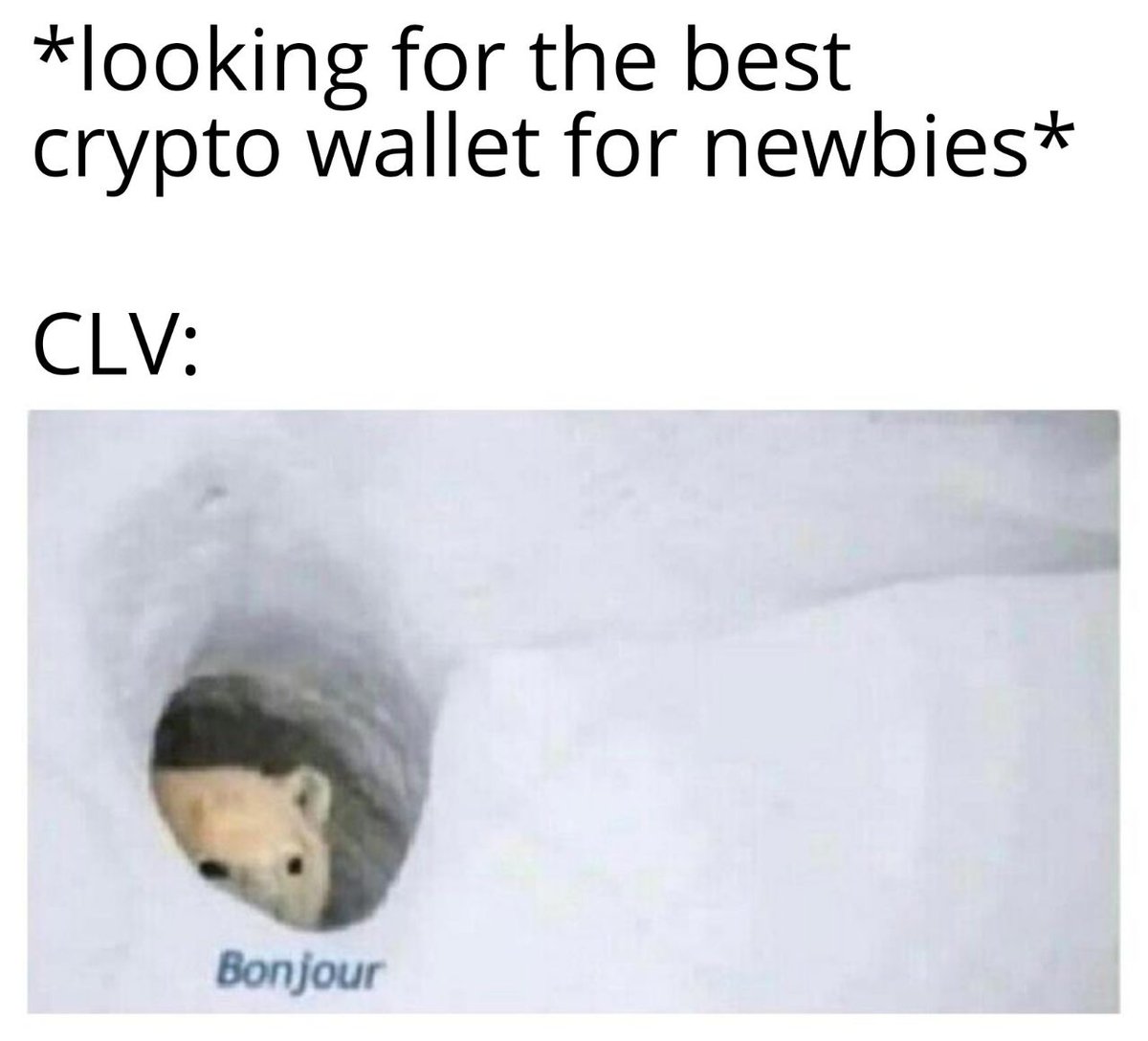 SamAssets's tweet photo. You must have the #CLVwallet to take advantage of this chance.....
Only through the $CLV #wallet can #CLV grant you access to #multiplechains, including every chain you might desire.
@clv_org #wallet #defi #web3 https://t.co/fipmnzoJuV