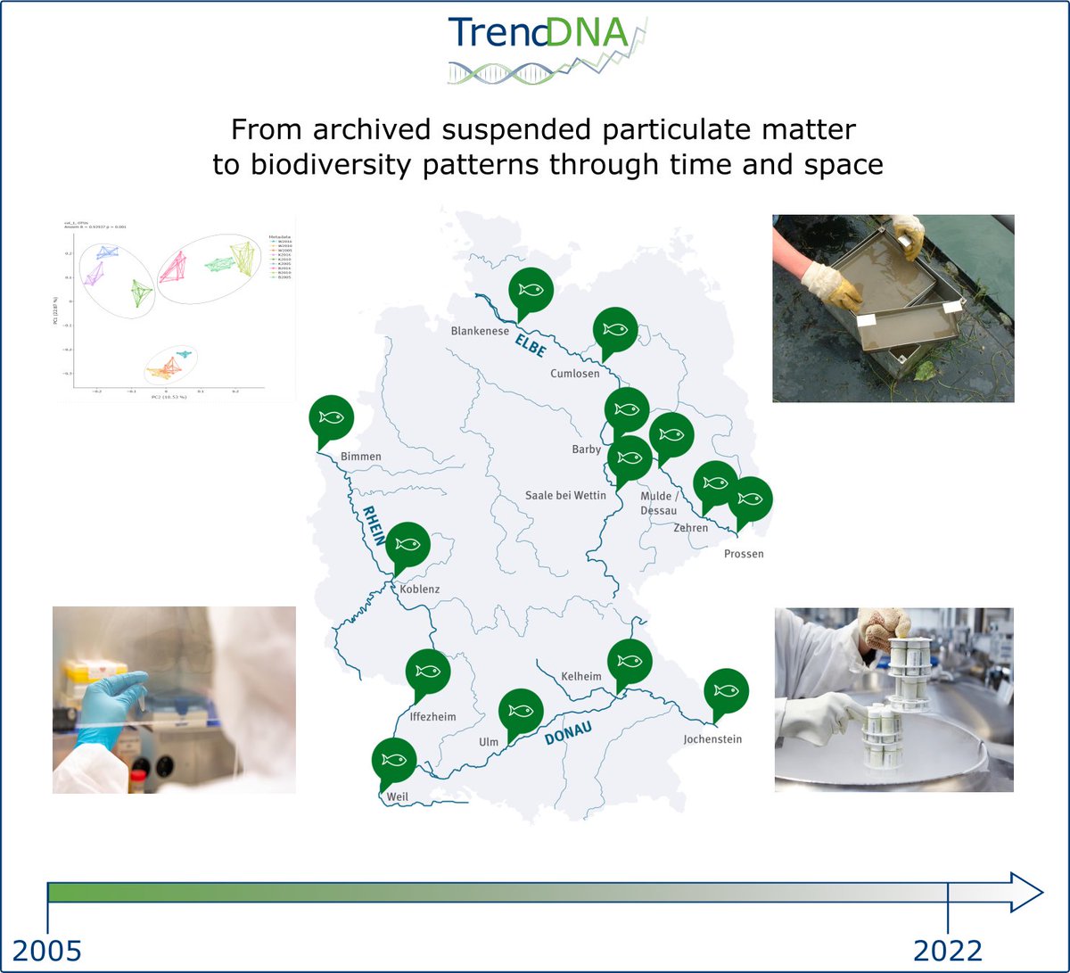 6/11 It is even possible to travel back in time and unveil #biodiversitytrends using #eDNA #metabarcoding of samples⌚️🧬🐟🪰 stored in the treasures of biological archives. #timetravel #eDNAforScience #OuluTc
Find out more: trenddna.de