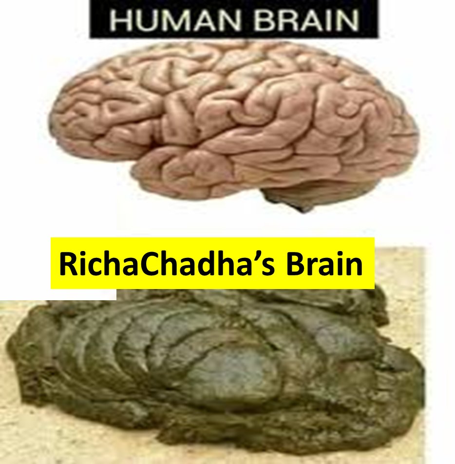 AnveshkaD's tweet photo. #RichaChadha's head is full of something else, not brain👇👇👇

Making fun of the #IndianArmy is not tolerable😡

#Galwan #GalwanValley #BoycottBollywood #UrbanNaxals https://t.co/wd3MJooafn