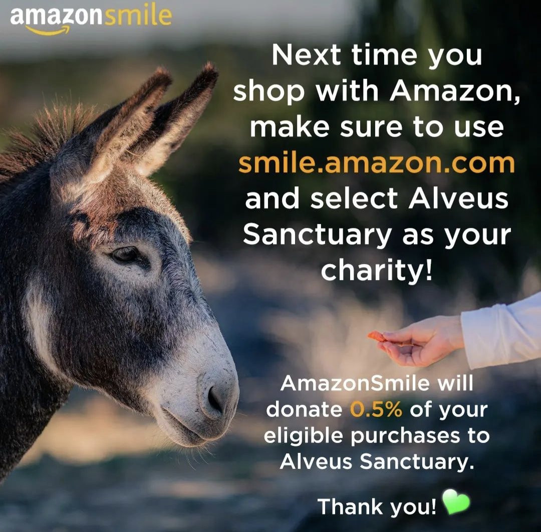 Maya on Twitter "RT AlveusSanctuary Please help support Alveus as