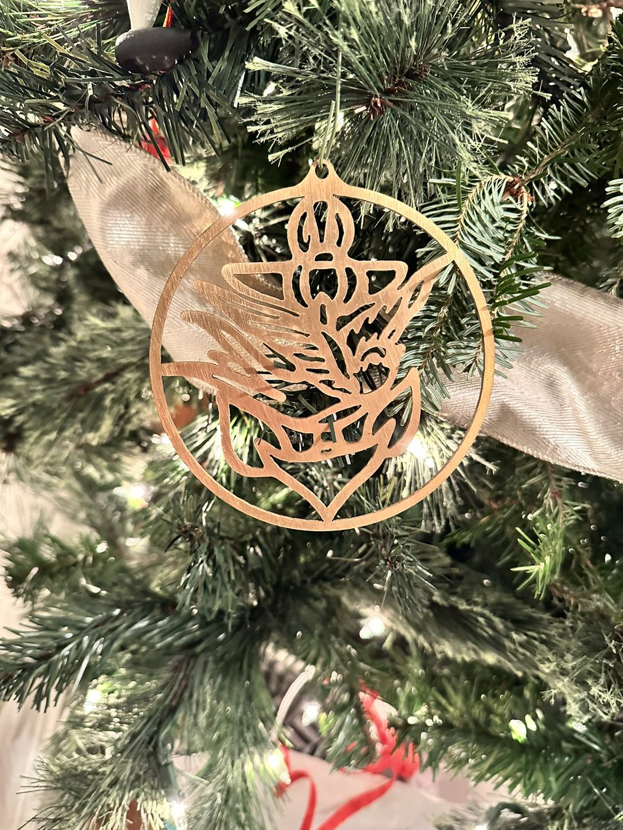 tlampley12's tweet photo. @JasonIsbell The Christmas tree is now complete! https://t.co/2vzM9uJT9P