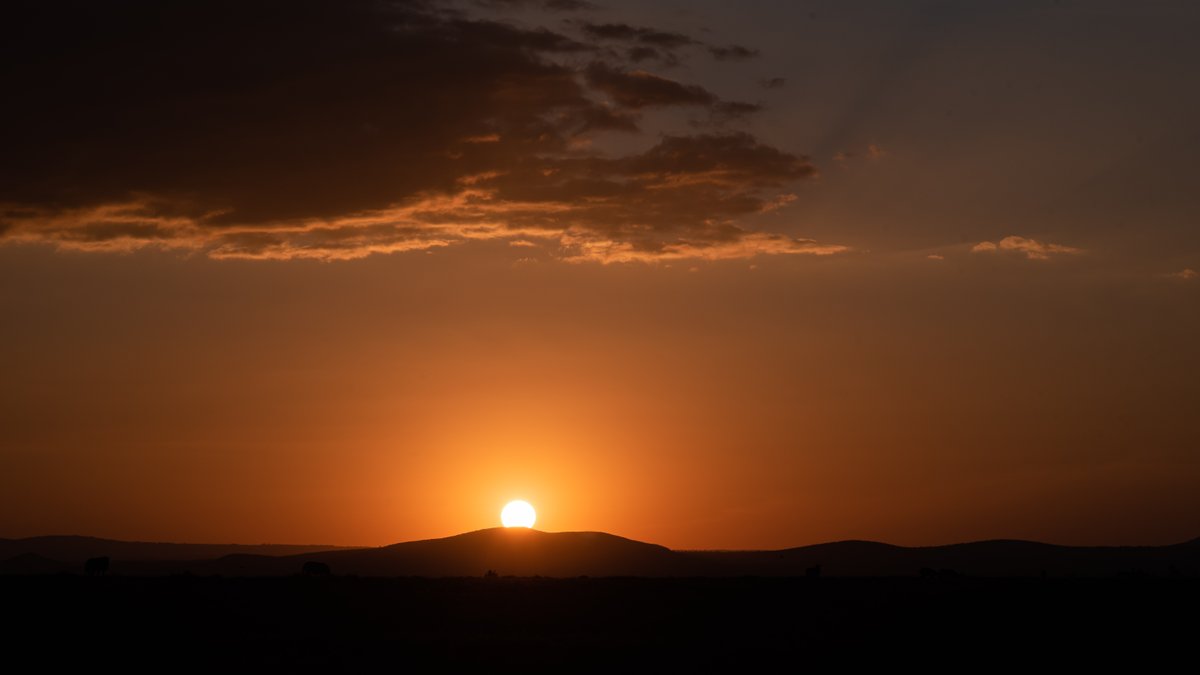 Nestled in between Mount Kenya and the Aberdare Ranges Ol Pejeta is biologically diverse and scenically splendid. 

Book a trip with us now by emailing reservations@olpejetaconservancy.org.

Photo credit: Rio The Photographer / Ol Pejeta Conservancy