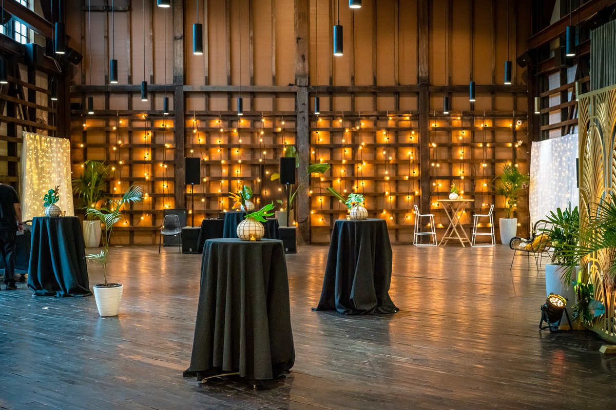 Funktionality's tweet photo. Transform your next cocktail event with a little help from our talented team!
.
.
.
.
.
#events #eventstyling #cocktailevent #centerpieces #funktionality https://t.co/6ri0aZRjcs