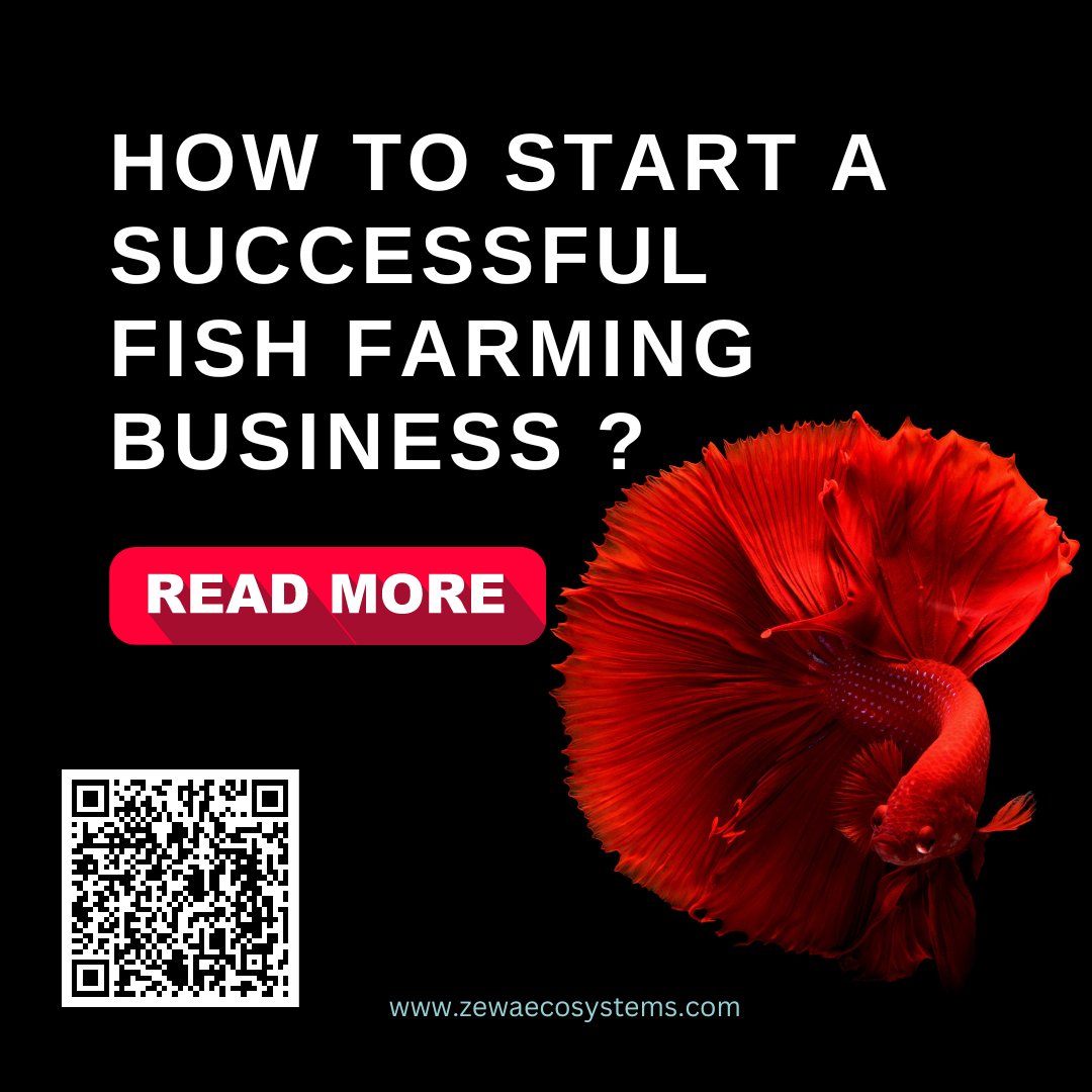 Zewa Ecosystems tweet media