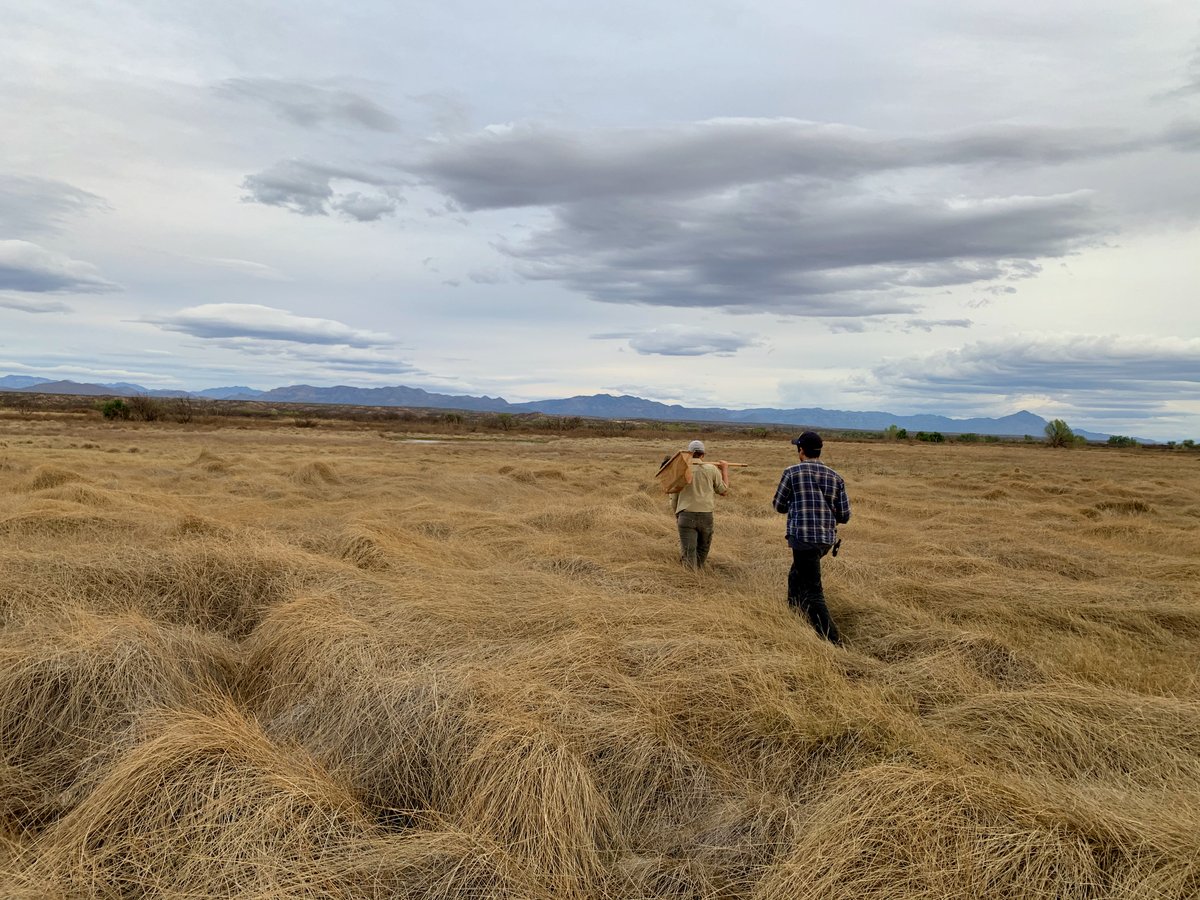 Wendy Palen (@wpalen) on Twitter photo Great postdoc opportunity: Conservation planning & cumulative effects assessment. More information here tinyurl.com/bdfsrdvx
<a href="/SFUBioSci/">SFU Biological Sciences</a> <a href="/E2ocean/">Earth2Ocean Science</a> <a href="/NSERC_ResNet/">NSERC ResNet</a> Great postdoc opportunity: Conservation planning & cumulative effects assessment. More information here tinyurl.com/bdfsrdvx
<a href="/SFUBioSci/">SFU Biological Sciences</a> <a href="/E2ocean/">Earth2Ocean Science</a> <a href="/NSERC_ResNet/">NSERC ResNet</a>