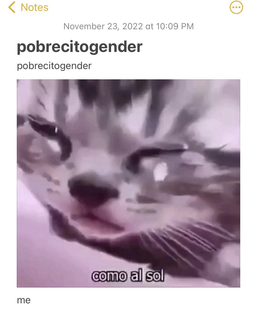 moth_jam's tweet photo. last night i got pretty high and i made myself a gender what do u guys think. i just wanna be a pathetic little guy. https://t.co/SdJZWyktfB