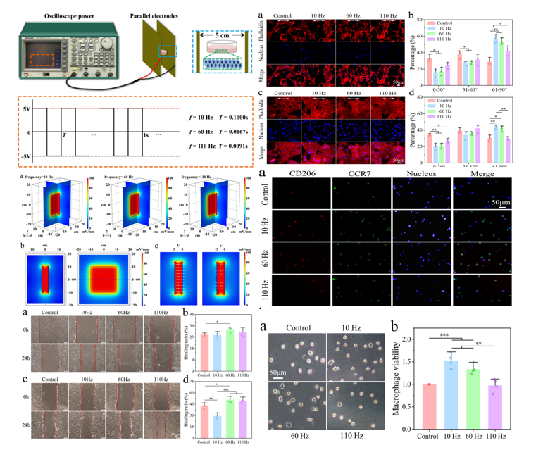 medntdj's tweet photo. Study on the effects of alternating capacitive electric fields with different frequencies on promoting wound healing
https://t.co/yaycN8gVci
#Alternating capacitive electric field #Frequency #MedTwitter #scicomm #MedEd #AcademicTwitter https://t.co/jS1HTPmz3l