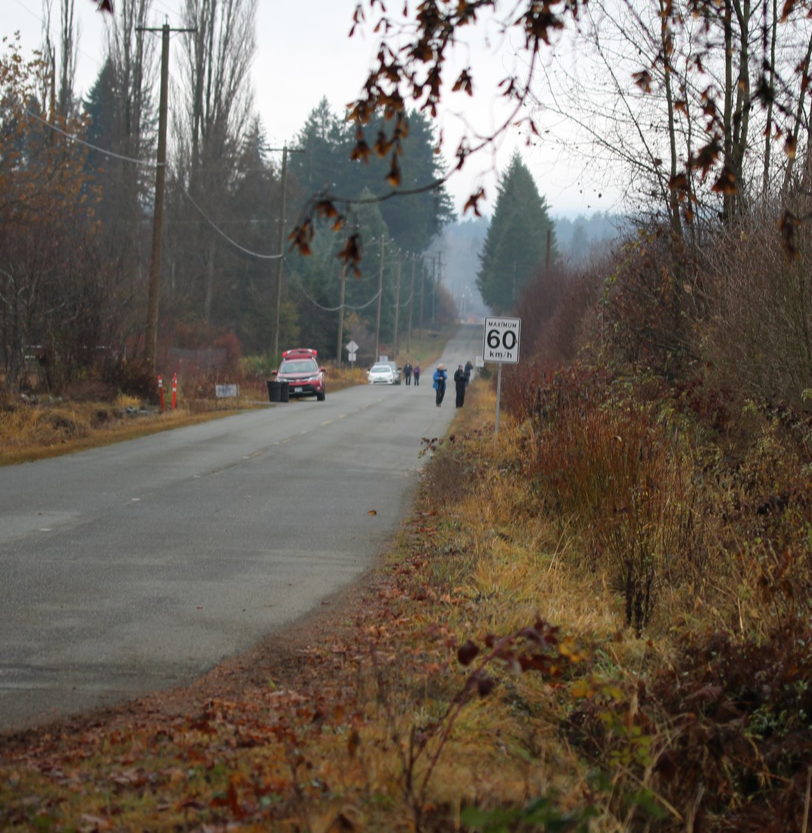 Saw some lovely trumpeter swans today and a rare whooper, thanks to the help of some friendly twitchers! #courtenaybc